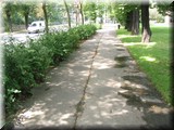6367.jpg